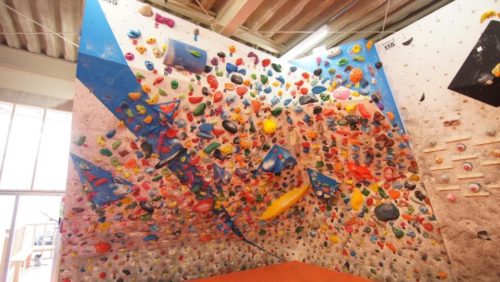 長野県のクライミング施設「クライミングパーク Zig's Rock（ジグズロック）」